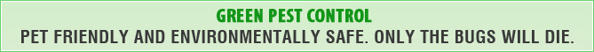 Pet friendly and environmentally safe. Only the bugs will die.